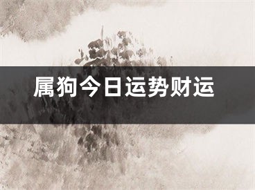属狗今日运势财运