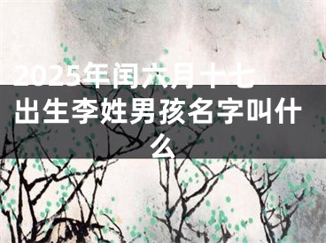 2025年闰六月十七出生李姓男孩名字叫什么