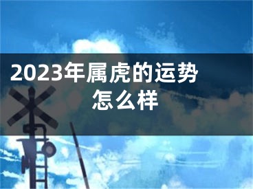 2023年属虎的运势怎么样