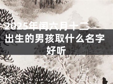 2025年闰六月十二出生的男孩取什么名字好听