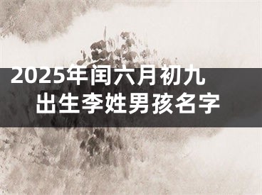 2025年闰六月初九出生李姓男孩名字