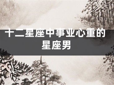 十二星座中事业心重的星座男