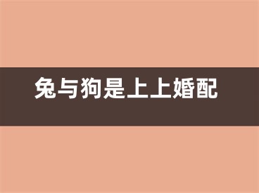 兔与狗是上上婚配