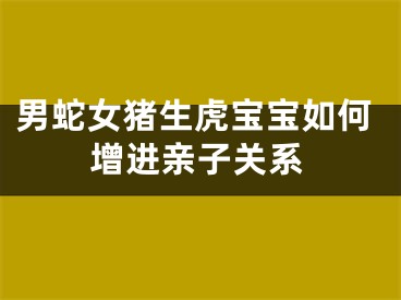 男蛇女猪生虎宝宝如何增进亲子关系