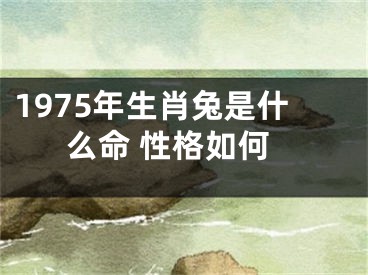 1975年生肖兔是什么命 性格如何
