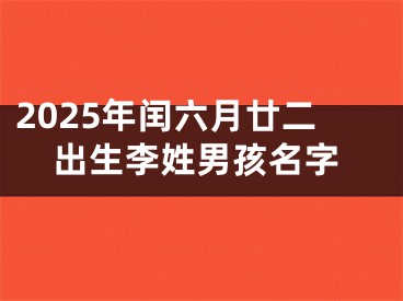 2025年闰六月廿二出生李姓男孩名字