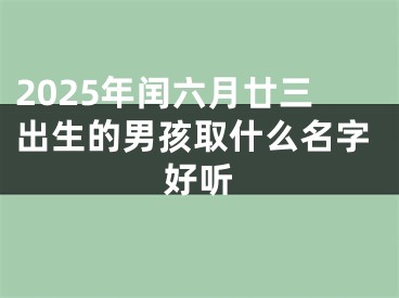 2025年闰六月廿三出生的男孩取什么名字好听