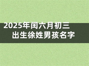 2025年闰六月初三出生徐姓男孩名字