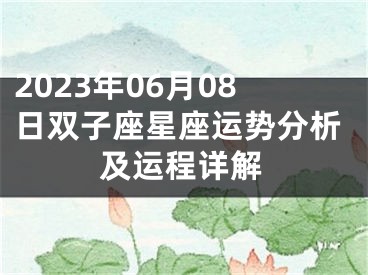 2023年06月08日双子座星座运势分析及运程详解