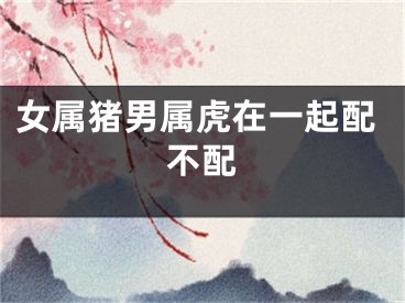 女属猪男属虎在一起配不配