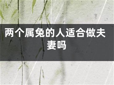 两个属兔的人适合做夫妻吗