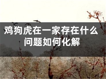 鸡狗虎在一家存在什么问题如何化解