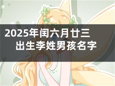 2025年闰六月廿三出生李姓男孩名字