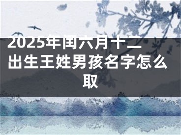 2025年闰六月十二出生王姓男孩名字怎么取