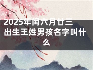 2025年闰六月廿三出生王姓男孩名字叫什么