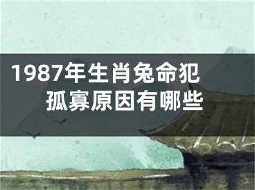 1987年生肖兔命犯孤寡原因有哪些