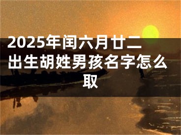 2025年闰六月廿二出生胡姓男孩名字怎么取