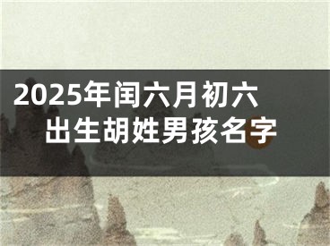 2025年闰六月初六出生胡姓男孩名字