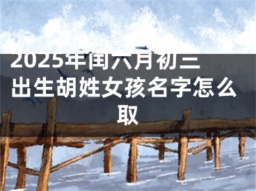 2025年闰六月初三出生胡姓女孩名字怎么取