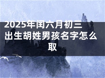 2025年闰六月初三出生胡姓男孩名字怎么取