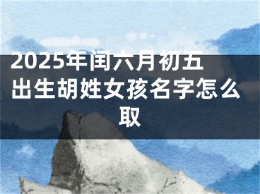 2025年闰六月初五出生胡姓女孩名字怎么取