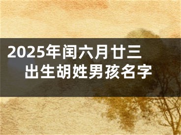 2025年闰六月廿三出生胡姓男孩名字