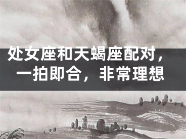 处女座和天蝎座配对，一拍即合，非常理想