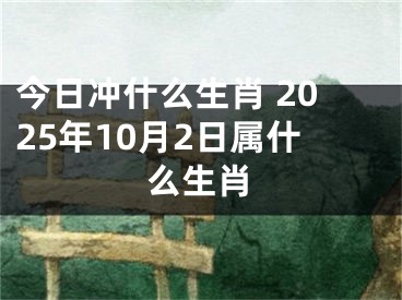 今日冲什么生肖 2025年10月2日属什么生肖