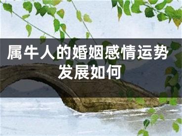 属牛人的婚姻感情运势发展如何