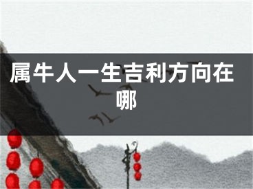 属牛人一生吉利方向在哪