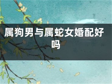 属狗男与属蛇女婚配好吗