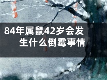 84年属鼠42岁会发生什么倒霉事情