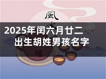 2025年闰六月廿二出生胡姓男孩名字
