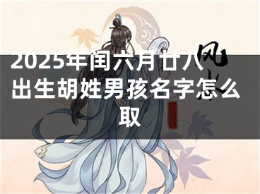 2025年闰六月廿八出生胡姓男孩名字怎么取
