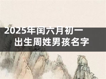 2025年闰六月初一出生周姓男孩名字