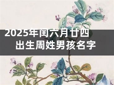 2025年闰六月廿四出生周姓男孩名字