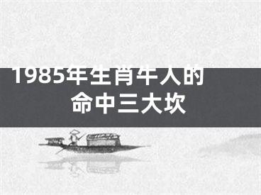 1985年生肖牛人的命中三大坎