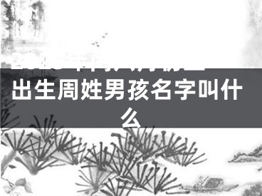 2025年闰六月初五出生周姓男孩名字叫什么