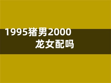1995猪男2000龙女配吗