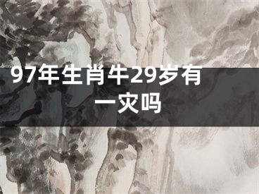 97年生肖牛29岁有一灾吗