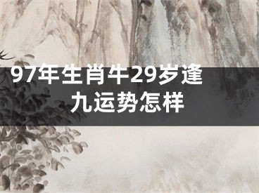 97年生肖牛29岁逢九运势怎样