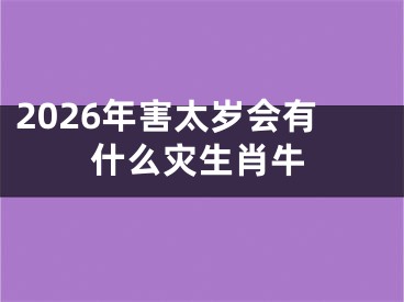 2026年害太岁会有什么灾生肖牛