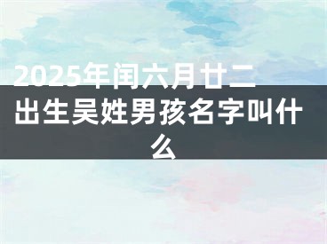 2025年闰六月廿二出生吴姓男孩名字叫什么