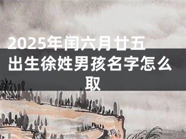 2025年闰六月廿五出生徐姓男孩名字怎么取