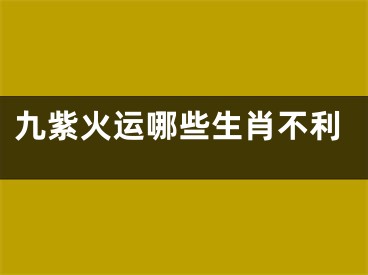 九紫火运哪些生肖不利