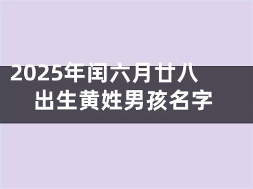 2025年闰六月廿八出生黄姓男孩名字
