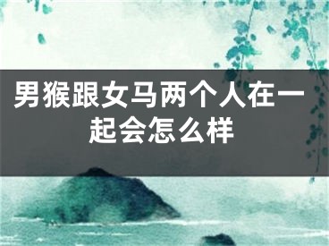 男猴跟女马两个人在一起会怎么样