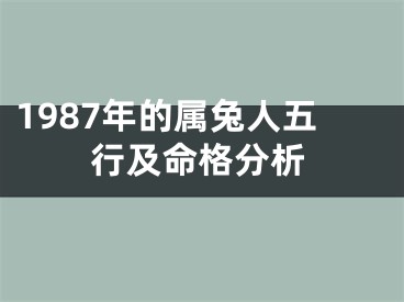 1987年的属兔人五行及命格分析