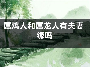 属鸡人和属龙人有夫妻缘吗