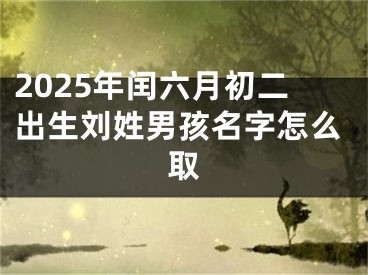 2025年闰六月初二出生刘姓男孩名字怎么取